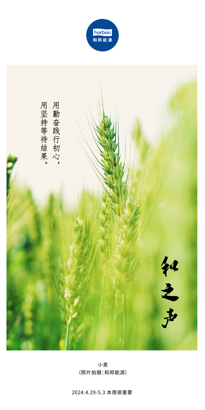 【和之声】用勤恳践行初心，用对峙期待了局。（总第132期）2024.4.29-5中文改幼季度推送用.jpg