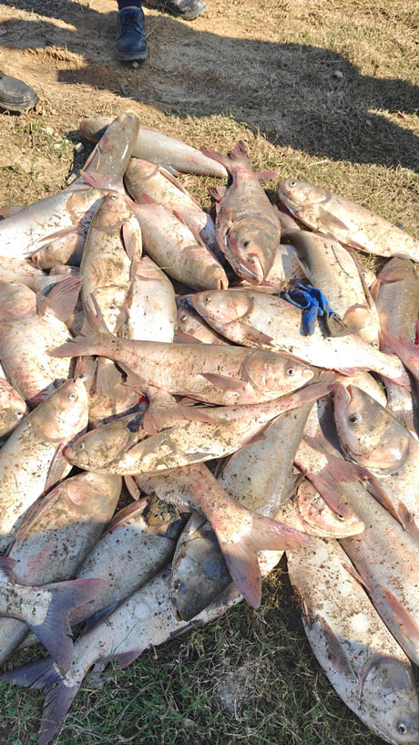 2024.11.23-【和之杏卓总要来场“冬捕”吧。ㄓ籽┕瞧惫び闾痢岸丁蓖沤ɑ疃┬挛排渫几挠淄011.jpg