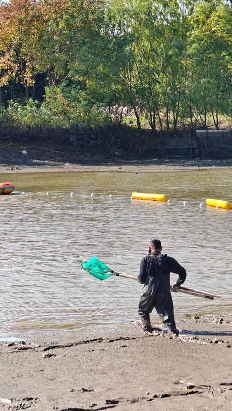 2024.11.23-【和之杏卓总要来场“冬捕”吧。ㄓ籽┕瞧惫び闾痢岸丁蓖沤ɑ疃┬挛排渫几挠淄006.jpg