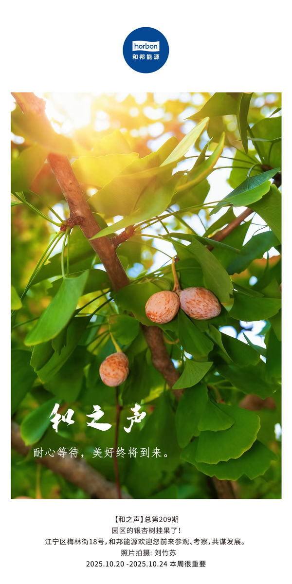 【和之声】耐心期待，美好终将到来。-(总第209期）2025.10.20中文导出季度推送用.jpg
